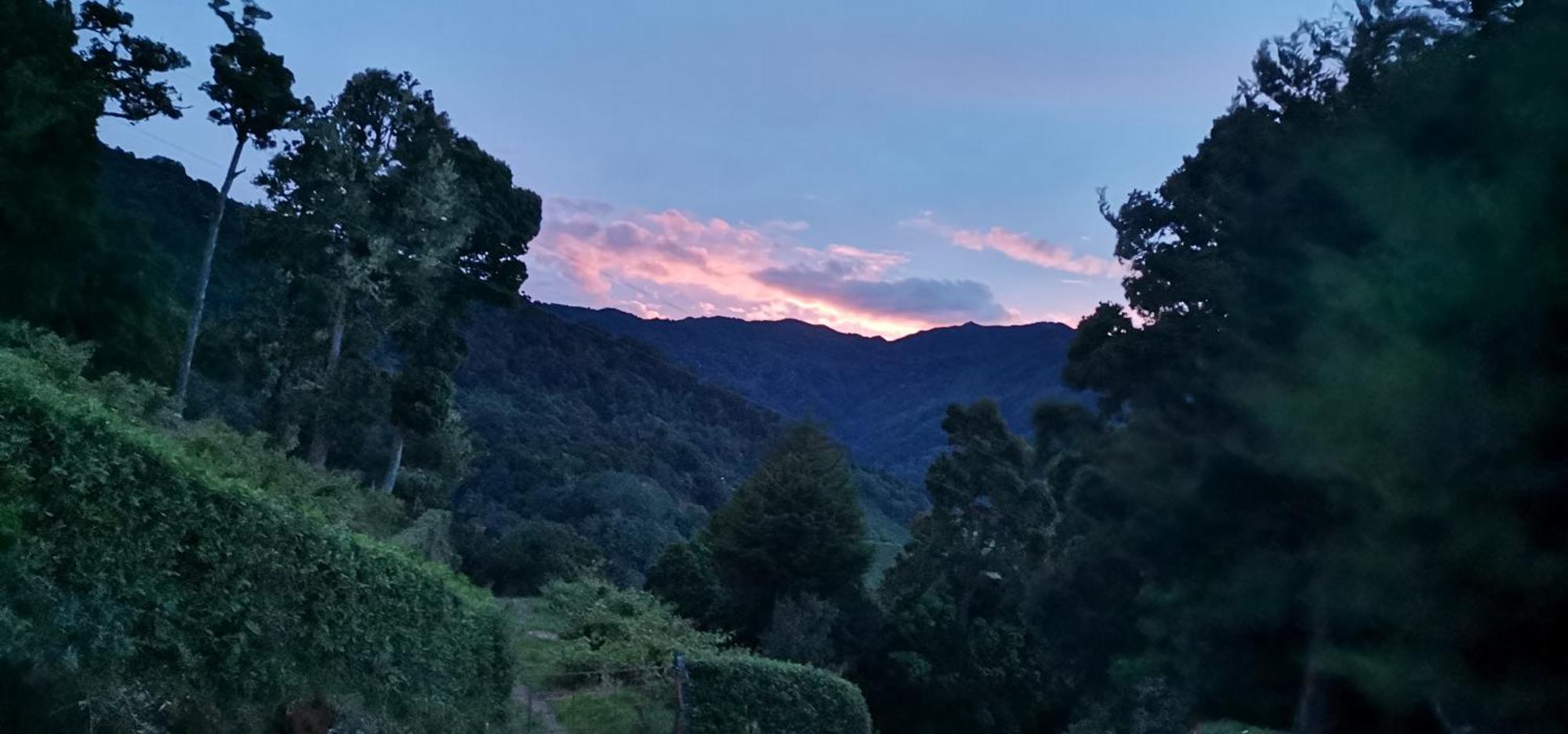 Hotel Glamping Jaulares Mountain Rivas Pokoj fotografie
